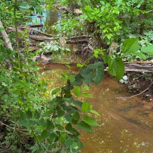 Photo #12 of RT. 17 AND RITCHIE ROAD, BEALETON, VA 2.4 acres