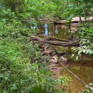 Photo #13 of RT. 17 AND RITCHIE ROAD, BEALETON, VA 2.4 acres