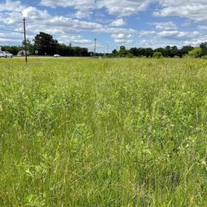 Photo #9 of RT. 17 AND RITCHIE ROAD, BEALETON, VA 2.4 acres