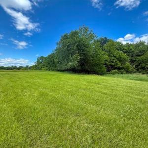 Photo #11 of RT. 17 AND RITCHIE ROAD, BEALETON, VA 2.4 acres