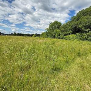 Photo #8 of RT. 17 AND RITCHIE ROAD, BEALETON, VA 2.4 acres