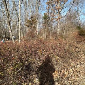 Photo #7 of SHEILA LN, SHENANDOAH, VA 1.1 acres