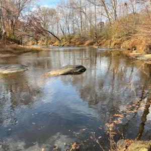 Photo #10 of 251 HAWK CIR, LOCUST DALE, VA 5.2 acres
