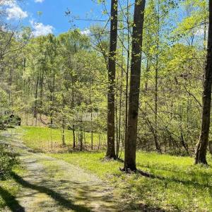 Photo #7 of 251 HAWK CIR, LOCUST DALE, VA 5.2 acres