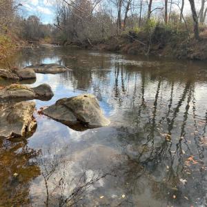 Photo #12 of 251 HAWK CIR, LOCUST DALE, VA 5.2 acres