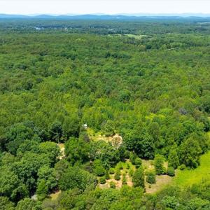 Photo #11 of PEACH GROVE ROAD, LOUISA, VA 13.5 acres