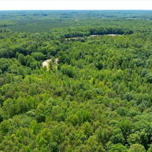 Photo #17 of PEACH GROVE ROAD, LOUISA, VA 13.5 acres