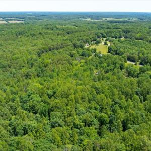 Photo #22 of PEACH GROVE ROAD, LOUISA, VA 13.5 acres