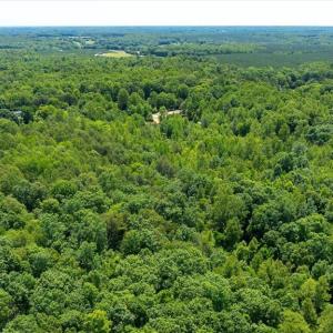 Photo #18 of PEACH GROVE ROAD, LOUISA, VA 13.5 acres