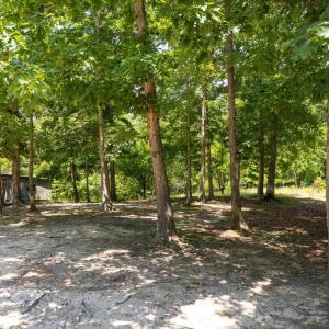 Photo #3 of PEACH GROVE ROAD, LOUISA, VA 13.5 acres