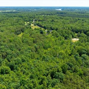 Photo #20 of PEACH GROVE ROAD, LOUISA, VA 13.5 acres