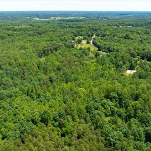 Photo #21 of PEACH GROVE ROAD, LOUISA, VA 13.5 acres