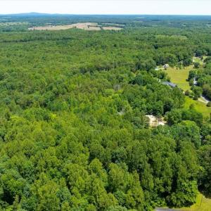 Photo #23 of PEACH GROVE ROAD, LOUISA, VA 13.5 acres