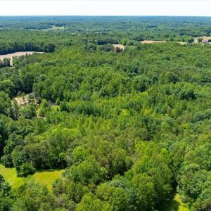 Photo #16 of PEACH GROVE ROAD, LOUISA, VA 13.5 acres