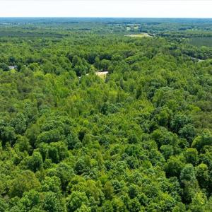 Photo #19 of PEACH GROVE ROAD, LOUISA, VA 13.5 acres