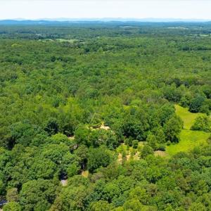 Photo #26 of PEACH GROVE ROAD, LOUISA, VA 13.5 acres