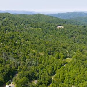 Photo #9 of LOT D45-49, STANLEY, VA 4.0 acres