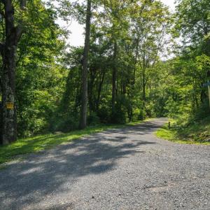 Photo #8 of LOT D45-49, STANLEY, VA 4.0 acres