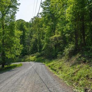Photo #11 of LOT D45-49, STANLEY, VA 4.0 acres