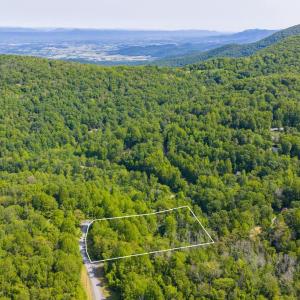 Photo #5 of LOT D45-49, STANLEY, VA 4.0 acres