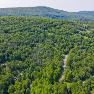 Photo #10 of LOT D45-49, STANLEY, VA 4.0 acres