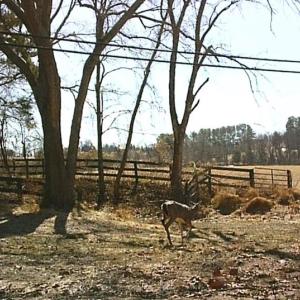 Photo #9 of LEE HWY, WARRENTON, VA 37.2 acres