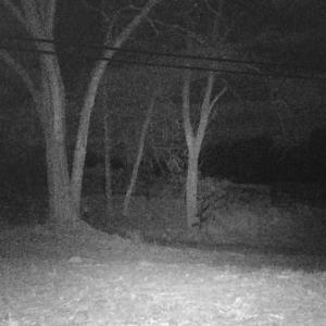 Photo #10 of LEE HWY, WARRENTON, VA 37.2 acres