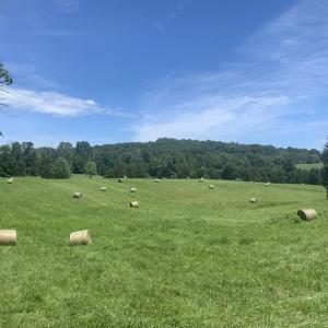 Photo #19 of LEE HWY, WARRENTON, VA 37.2 acres