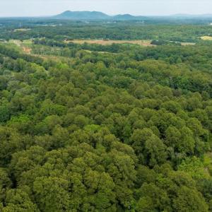 Photo #3 of SEMINOLE TRL, MADISON, VA 7.8 acres