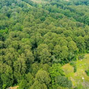 Photo #2 of SEMINOLE TRL, MADISON, VA 7.8 acres