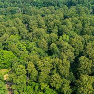 Photo #5 of SEMINOLE TRL, MADISON, VA 7.8 acres