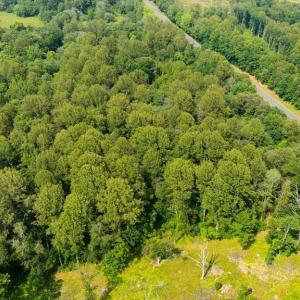 Photo #17 of SEMINOLE TRL, MADISON, VA 7.8 acres