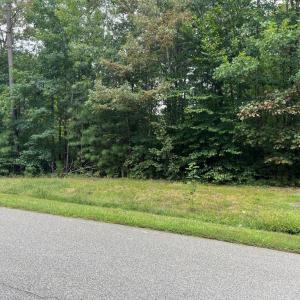 Photo #2 of NOAH'S LANDING DRIVE, BUMPASS, VA 0.7 acres