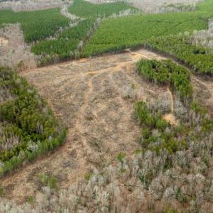 Photo #5 of 7812 GRAND BROOKS RD, SPOTSYLVANIA, VA 30.6 acres