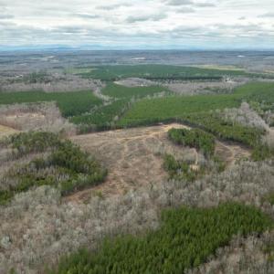 Photo #6 of 7812 GRAND BROOKS RD, SPOTSYLVANIA, VA 30.6 acres