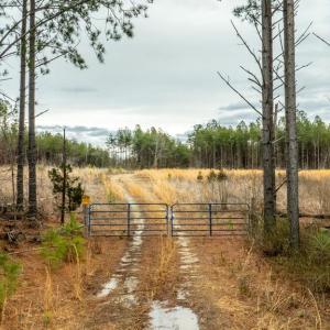 Photo #7 of 7812 GRAND BROOKS RD, SPOTSYLVANIA, VA 30.6 acres