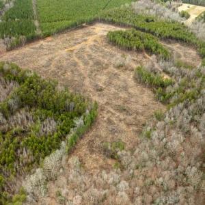 Photo #8 of 7812 GRAND BROOKS RD, SPOTSYLVANIA, VA 30.6 acres