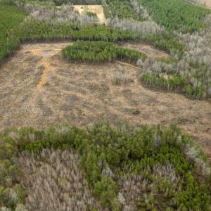 Photo #9 of 7812 GRAND BROOKS RD, SPOTSYLVANIA, VA 30.6 acres
