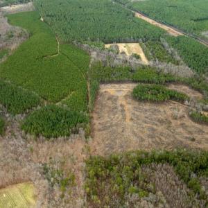 Photo #10 of 7812 GRAND BROOKS RD, SPOTSYLVANIA, VA 30.6 acres
