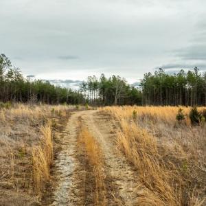 Photo #12 of 7812 GRAND BROOKS RD, SPOTSYLVANIA, VA 30.6 acres