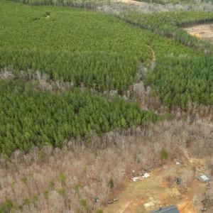 Photo #14 of 7812 GRAND BROOKS RD, SPOTSYLVANIA, VA 30.6 acres