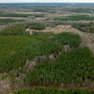 Photo #16 of 7812 GRAND BROOKS RD, SPOTSYLVANIA, VA 30.6 acres