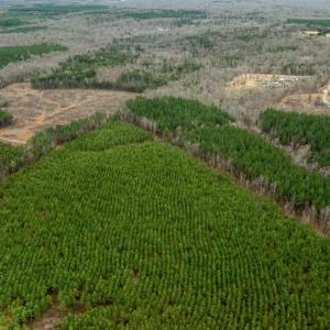 Photo #18 of 7812 GRAND BROOKS RD, SPOTSYLVANIA, VA 30.6 acres