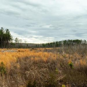 Photo #20 of 7812 GRAND BROOKS RD, SPOTSYLVANIA, VA 30.6 acres