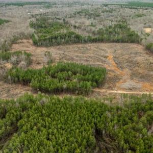 Photo #22 of 7812 GRAND BROOKS RD, SPOTSYLVANIA, VA 30.6 acres