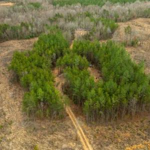 Photo #23 of 7812 GRAND BROOKS RD, SPOTSYLVANIA, VA 30.6 acres