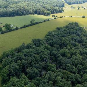 Photo #18 of SUNNYVIEW DR, RILEYVILLE, VA 40.6 acres