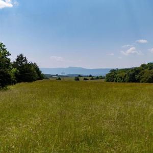 Photo #36 of SUNNYVIEW DR, RILEYVILLE, VA 40.6 acres