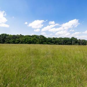 Photo #29 of SUNNYVIEW DR, RILEYVILLE, VA 40.6 acres