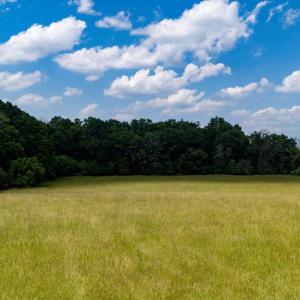 Photo #30 of SUNNYVIEW DR, RILEYVILLE, VA 40.6 acres
